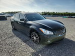 Infiniti M 2013