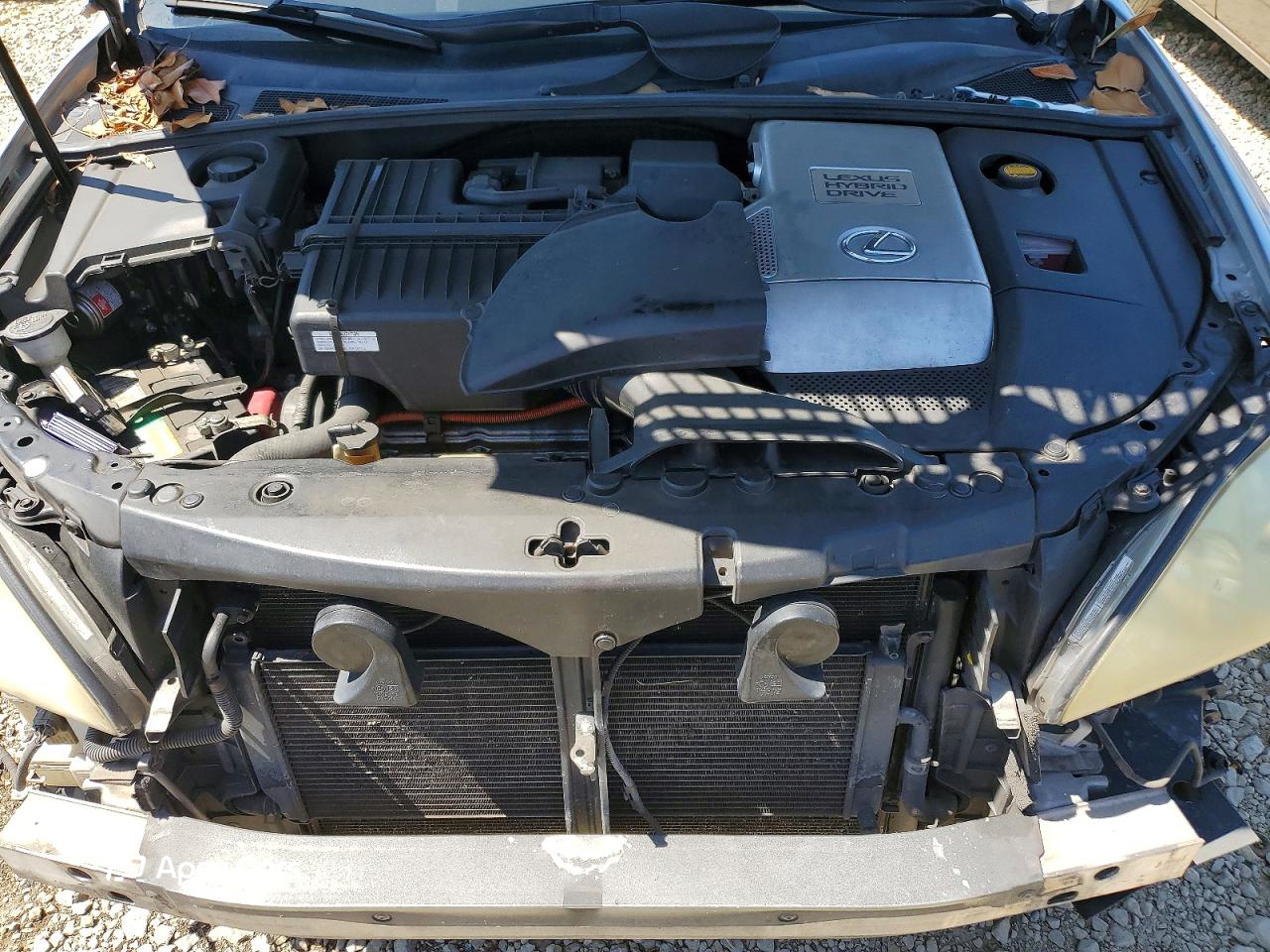 Lexus RX 2007