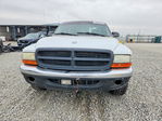 Dodge Dakota 2003