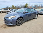 Toyota Corolla 2014
