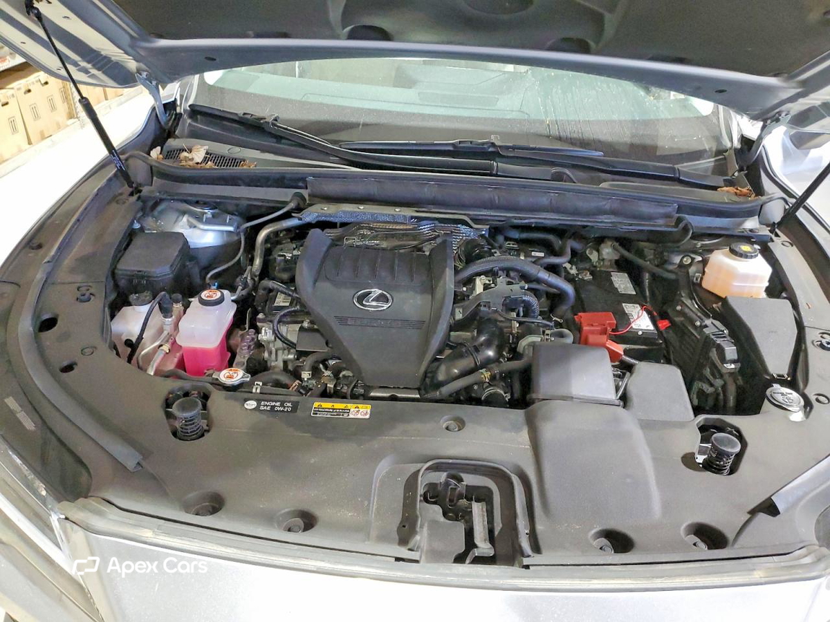 Lexus RX 2024