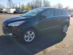 Ford Escape 2015