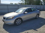 Honda Accord 2010