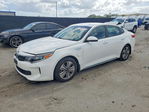 Kia Optima 2017