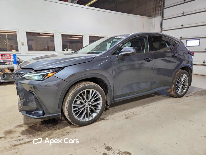 2026 Lexus NX - Image 1 of 5