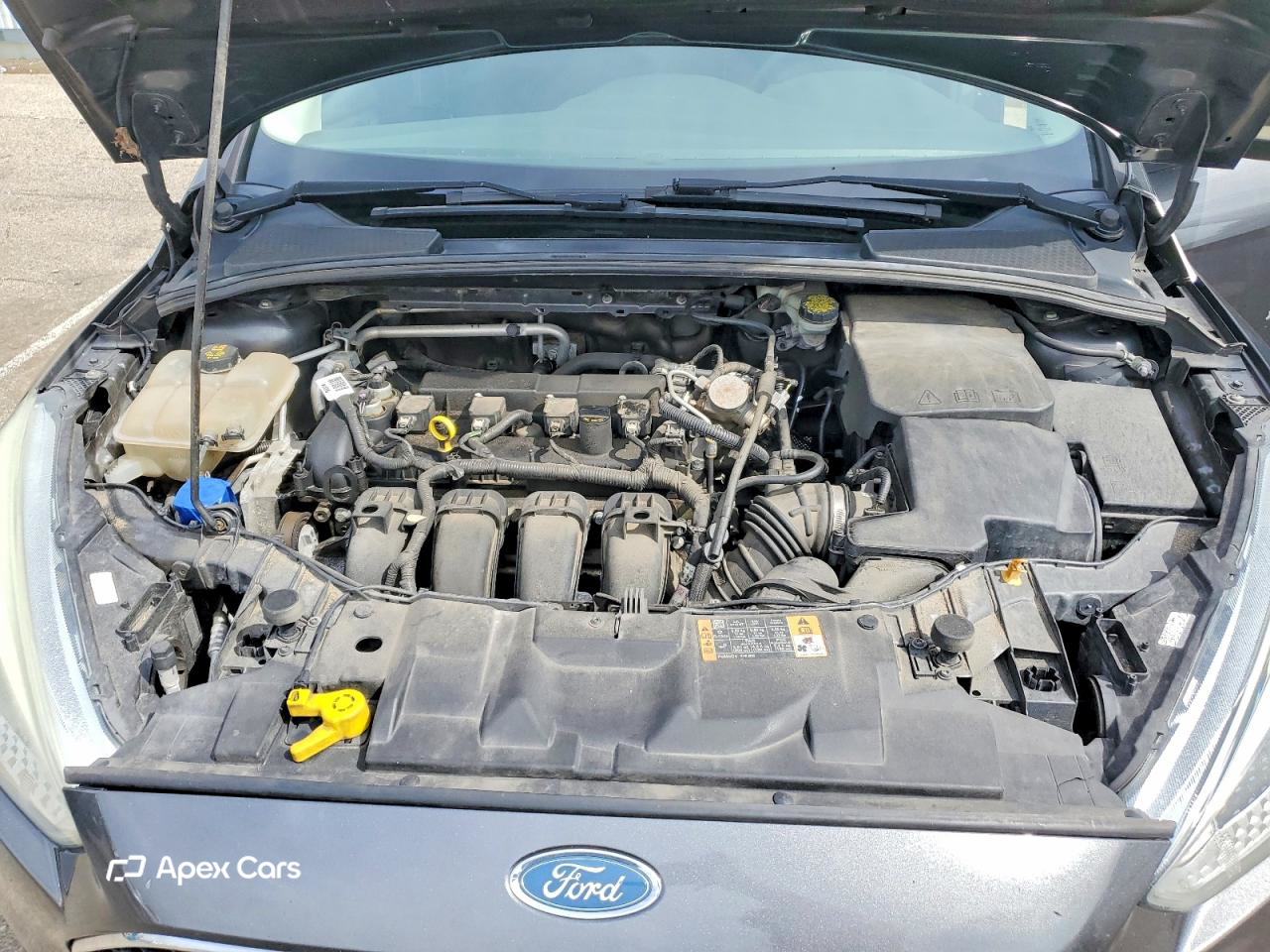 Ford Focus 2016