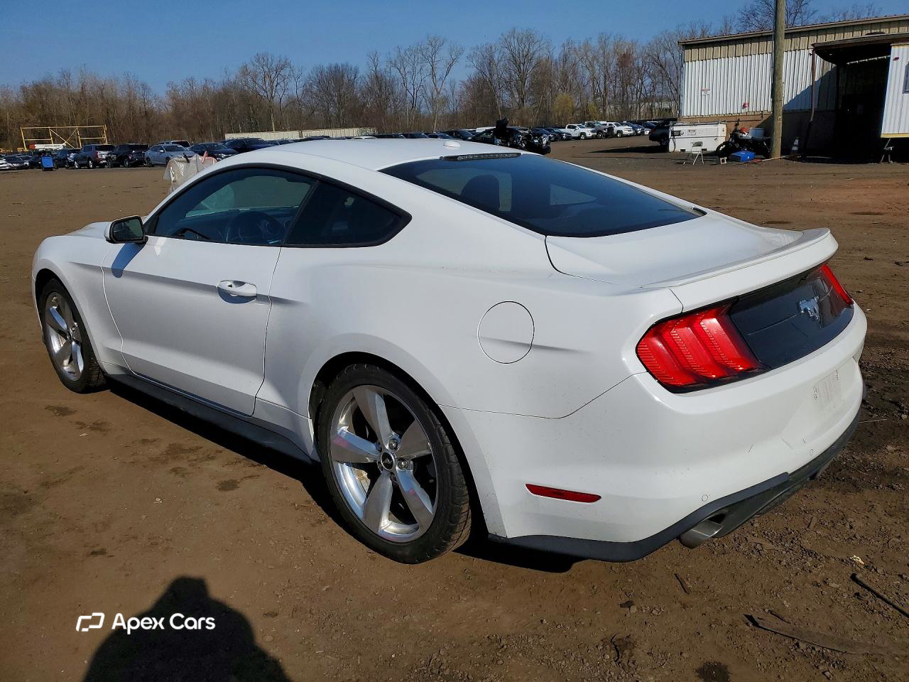 Ford Mustang 2019