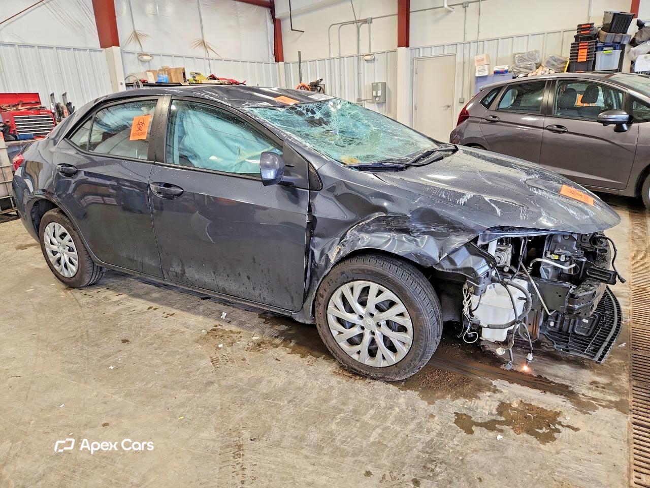 Toyota Corolla 2019