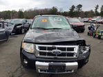 Ford Escape 2011
