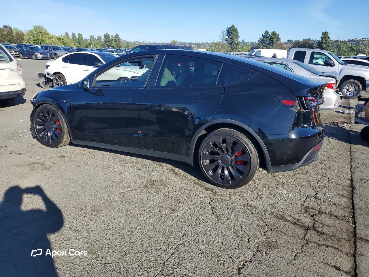 Tesla Model Y 2022