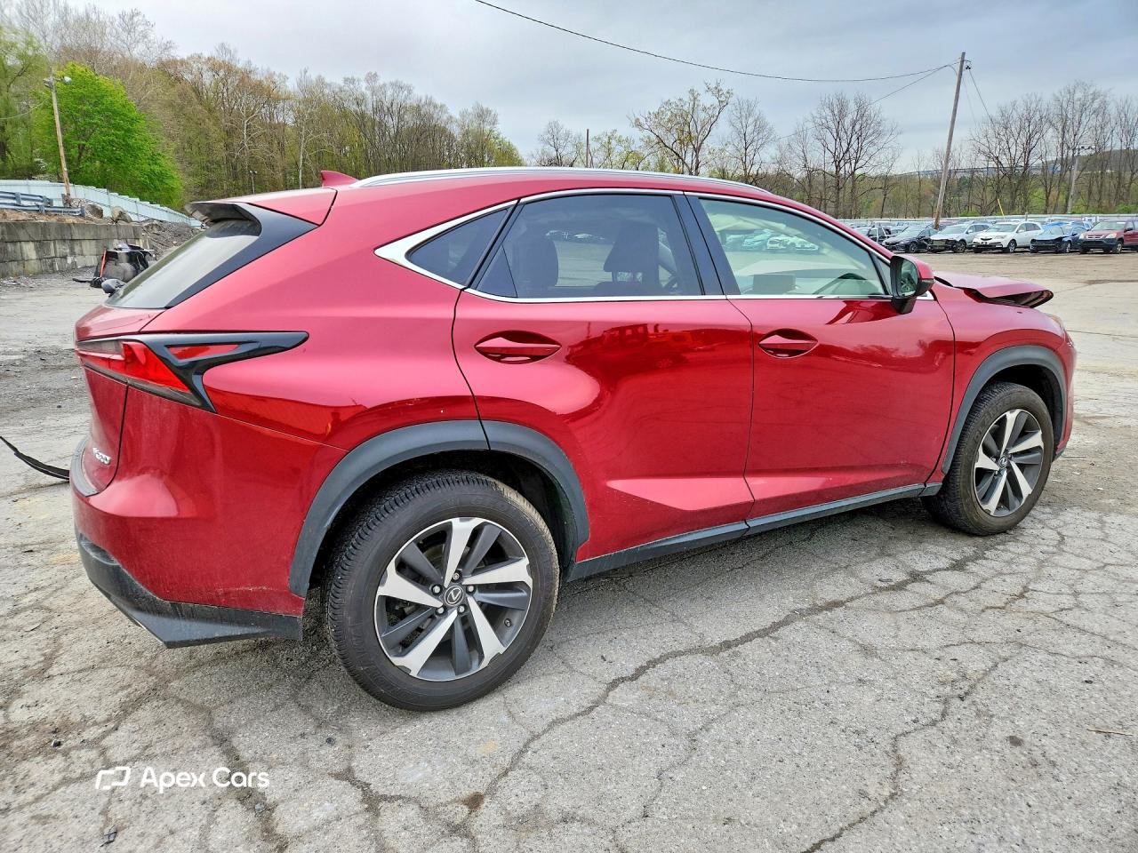 Lexus NX 2019