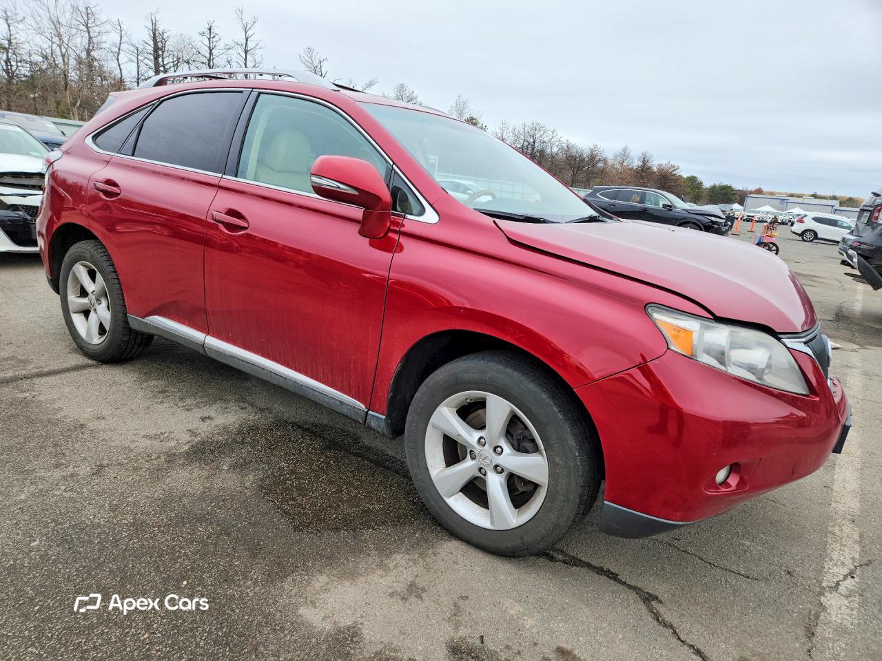 Lexus RX 2010