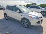 Ford Escape 2013