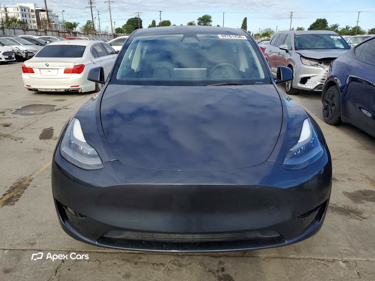 Tesla Model Y 2025