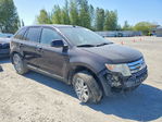 Ford Edge 2007