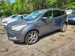 Ford Escape 2013