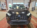 Toyota RAV 4 2021