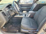 Ford Escape 2011