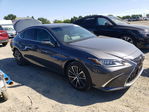 Lexus ES 2024