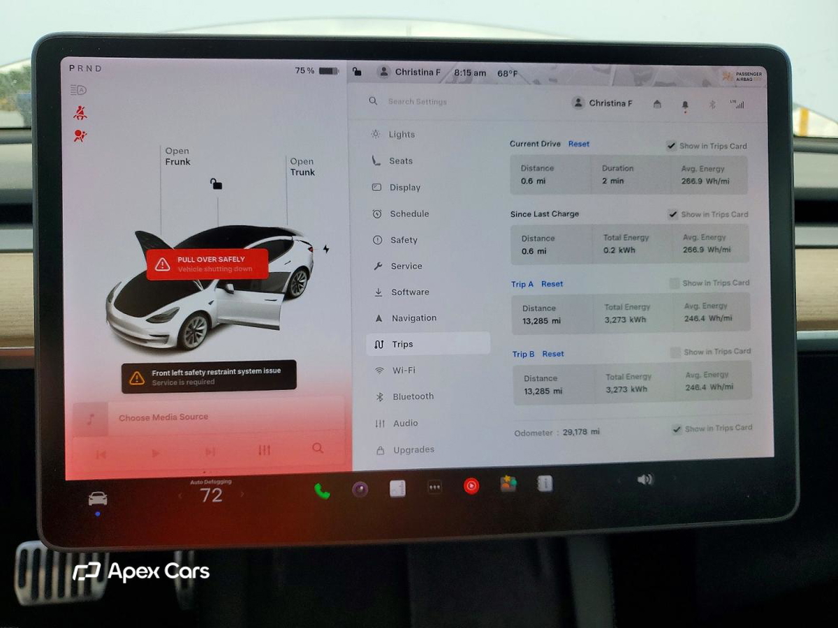 Tesla Model 3 2021