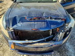 Honda Accord 2010