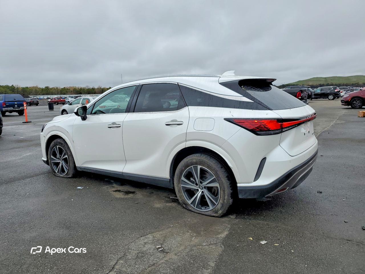 Lexus RX 2024