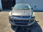 Ford Escape 2013