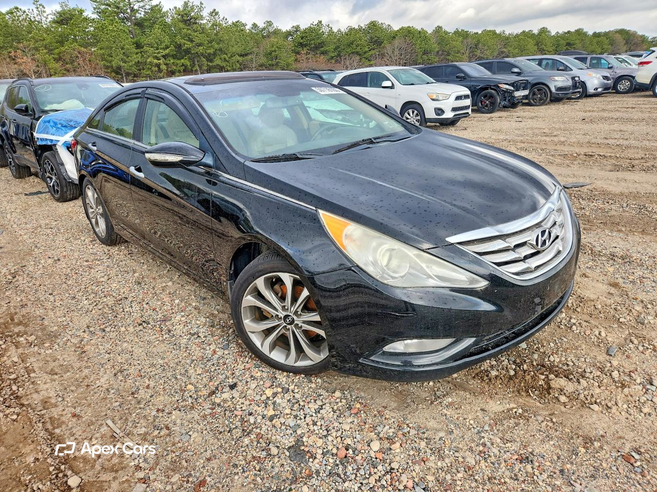Hyundai Sonata 2013