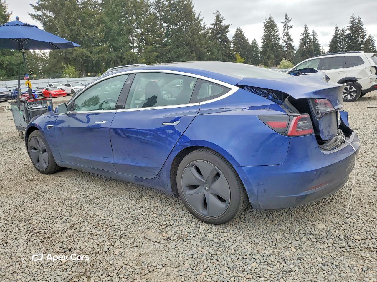 Tesla Model 3 2020
