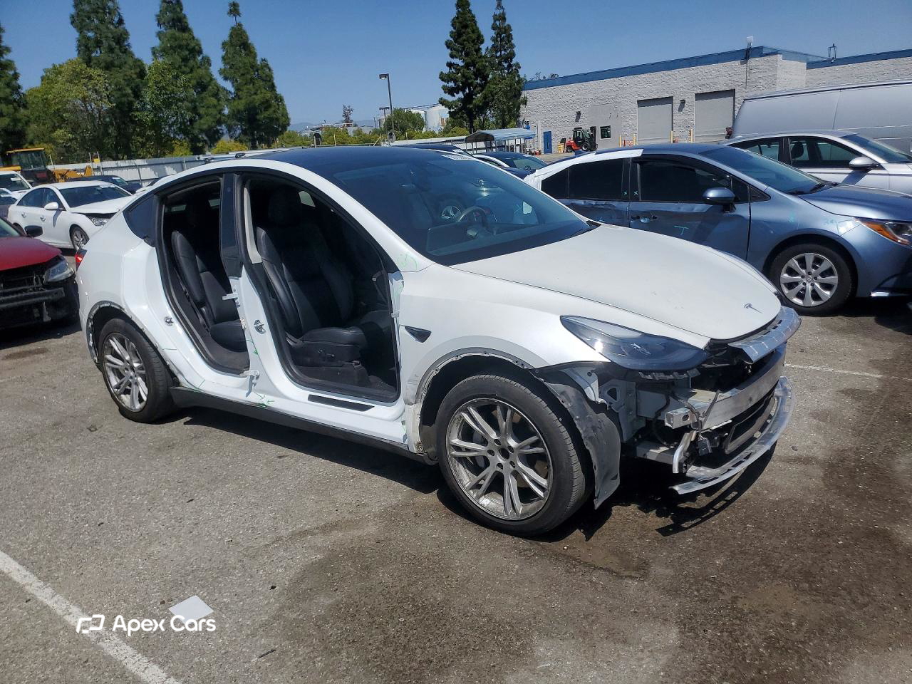 Tesla Model Y 2020