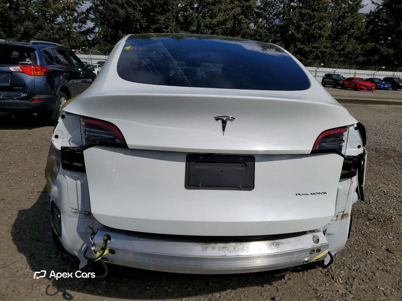 Tesla Model Y 2021