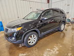 Kia Sorento 2011