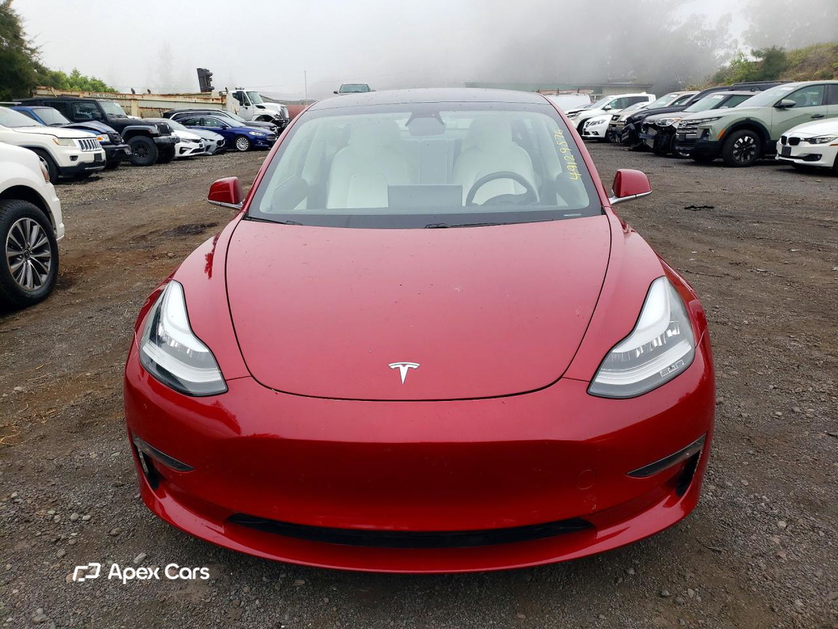 Tesla Model 3 2019
