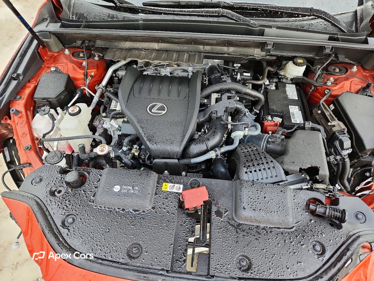 Lexus NX 2023