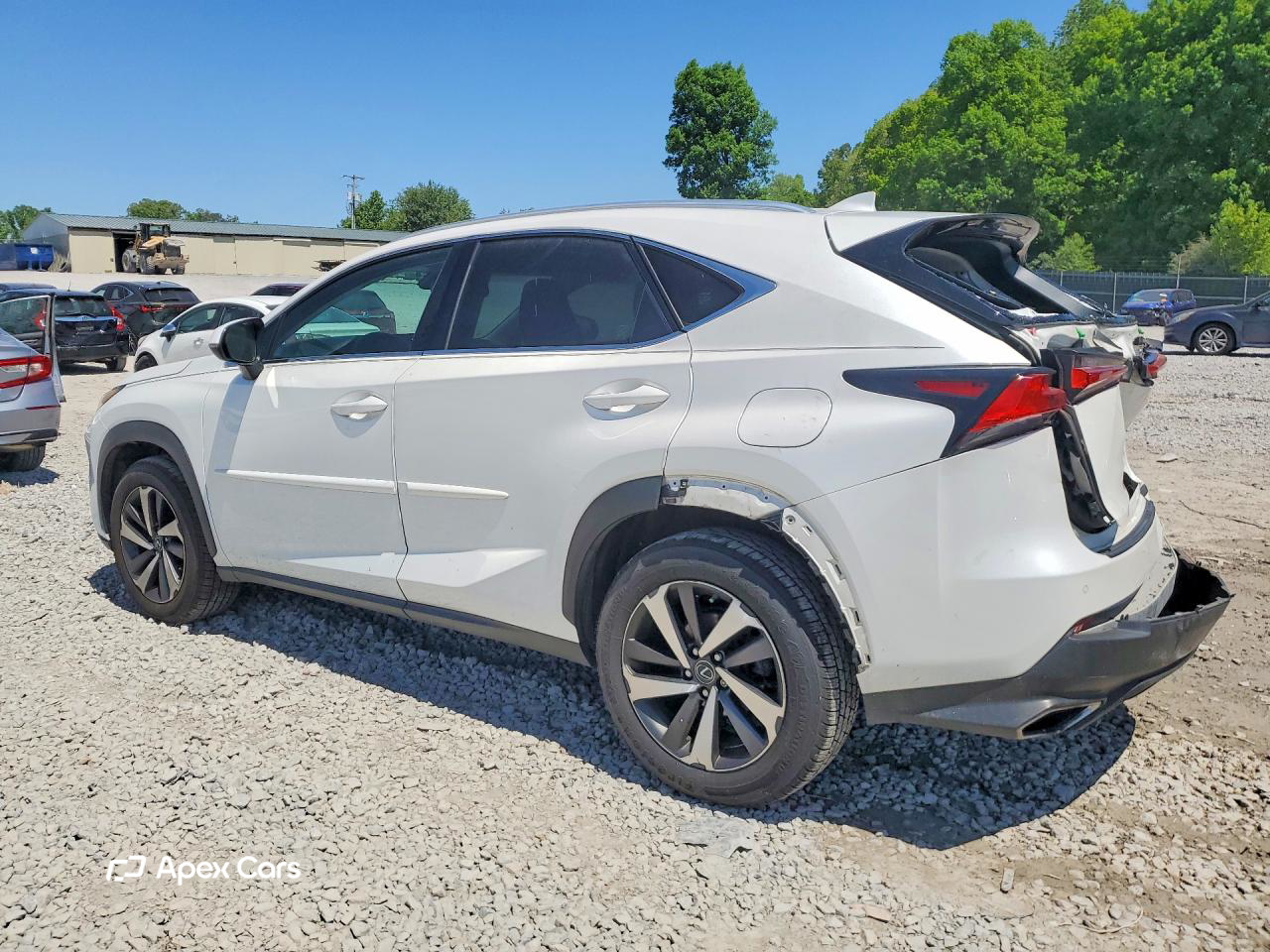 Lexus NX 2018