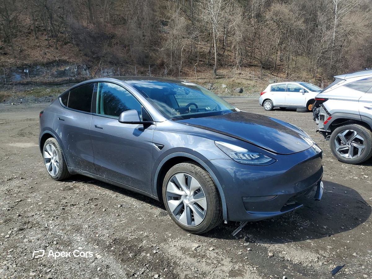 Tesla Model Y 2020