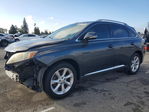 Lexus RX 2010