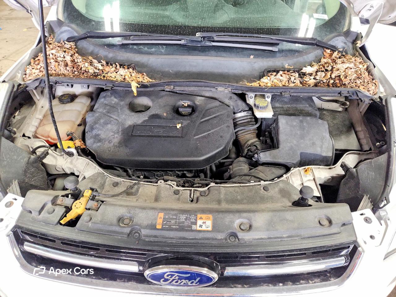Ford Escape 2014