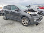 Ford Escape 2019