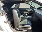 Ford Mustang 2007