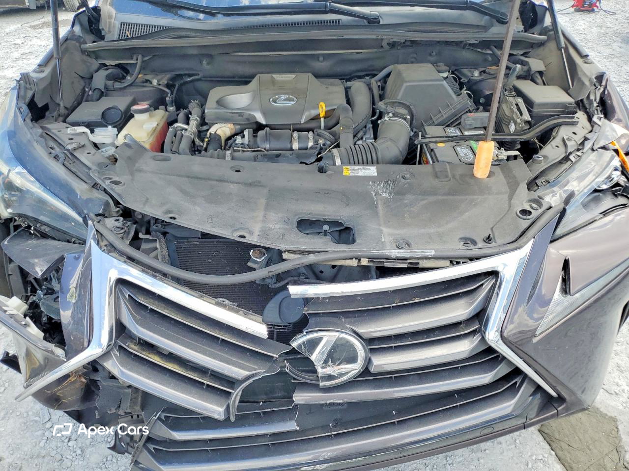 Lexus NX 2015