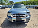 Ford Escape 2011