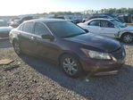 Honda Accord 2011