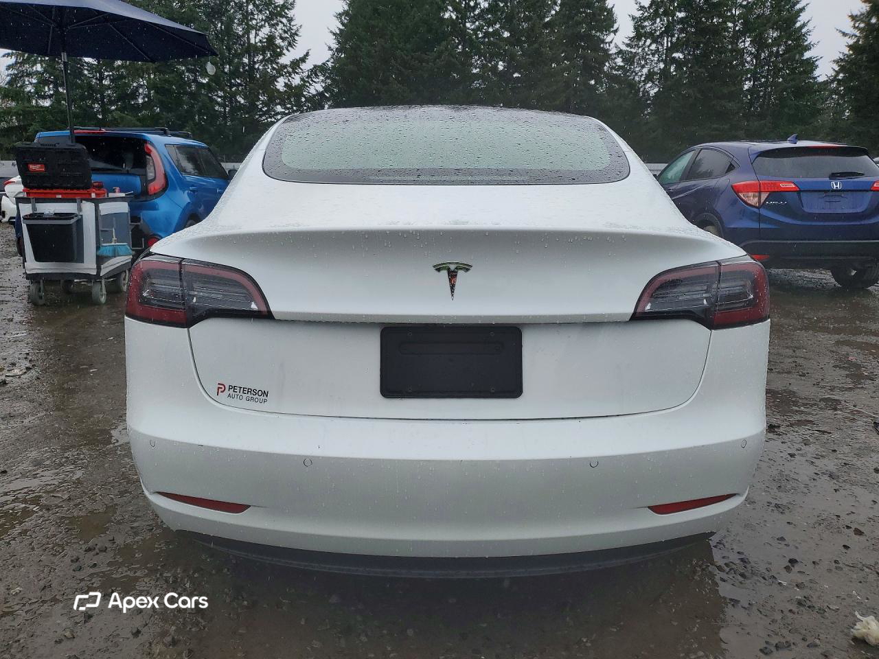Tesla Model 3 2021