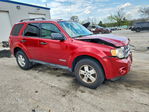 Ford Escape 2008