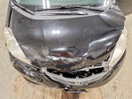 Honda Fit 2009