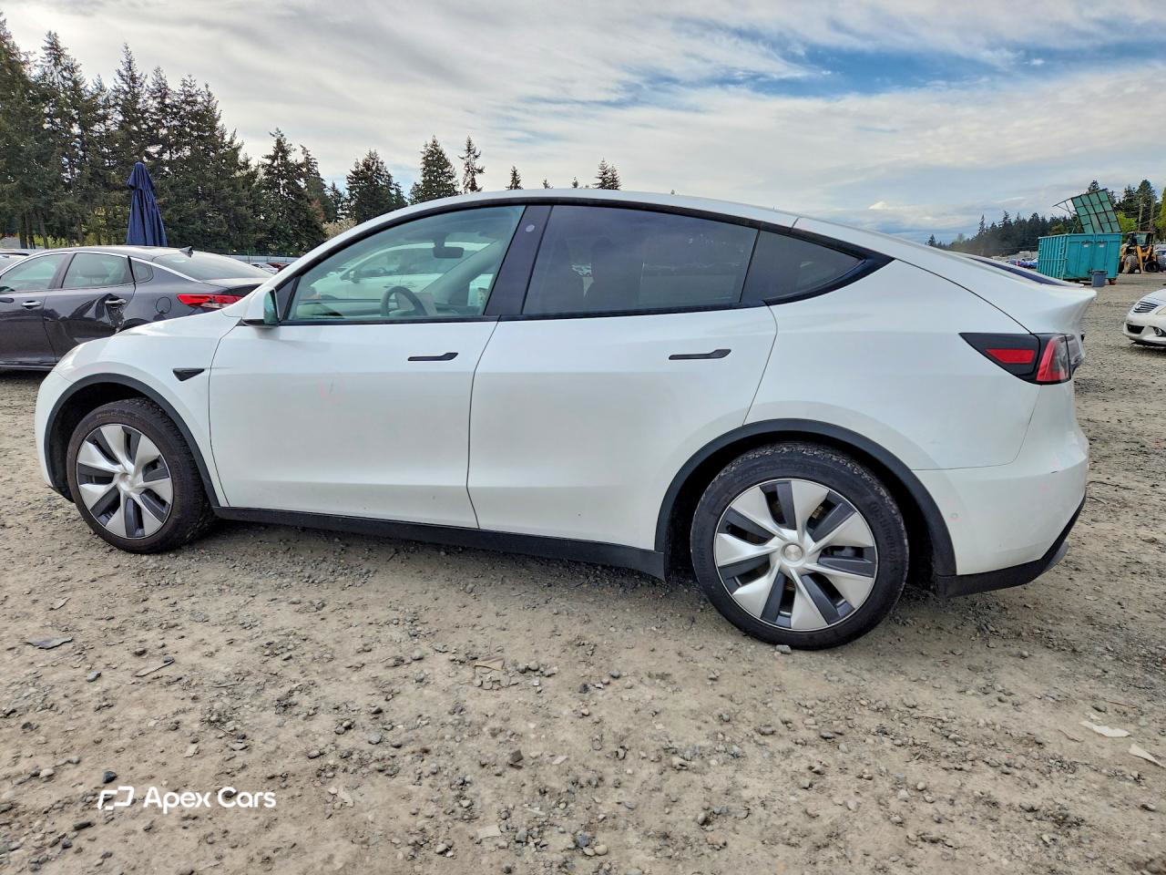 Tesla Model Y 2020