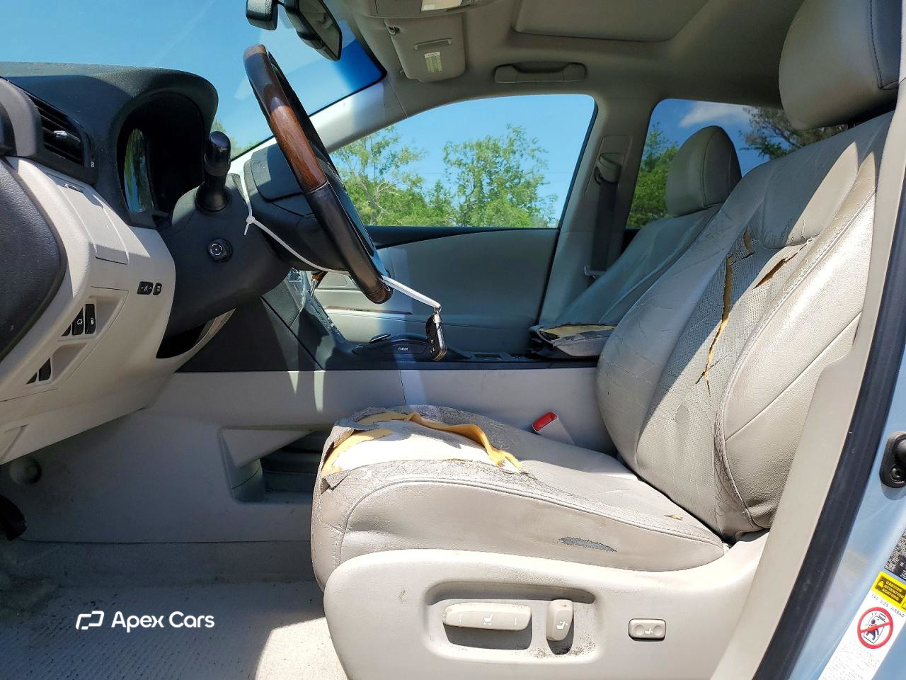 Lexus RX 2010