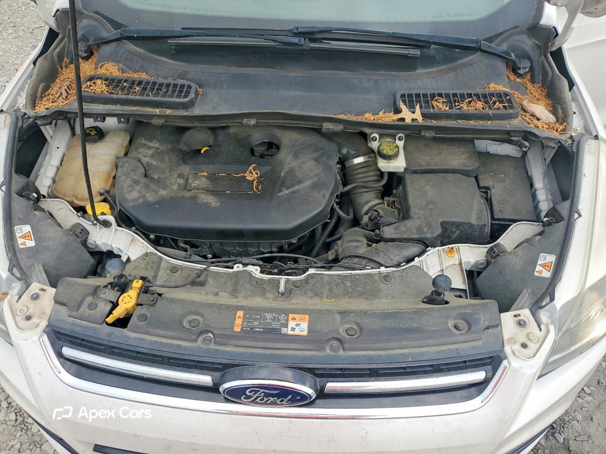 Ford Escape 2014