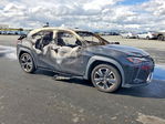 Lexus UX 2021